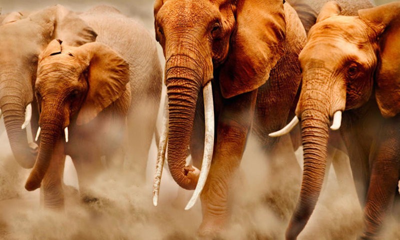 et-nobis-quidem-reiciendis-ipsa-officia-hic-et