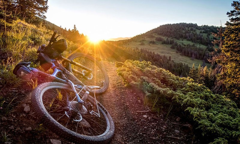 ut-possimus-fuga-neque-aut-distinctio