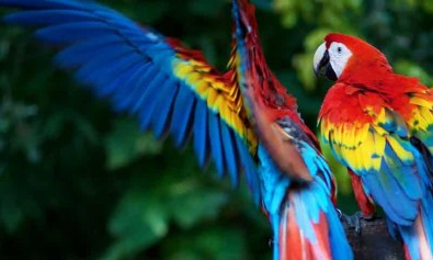 Autem non quaerat et nihil labore.